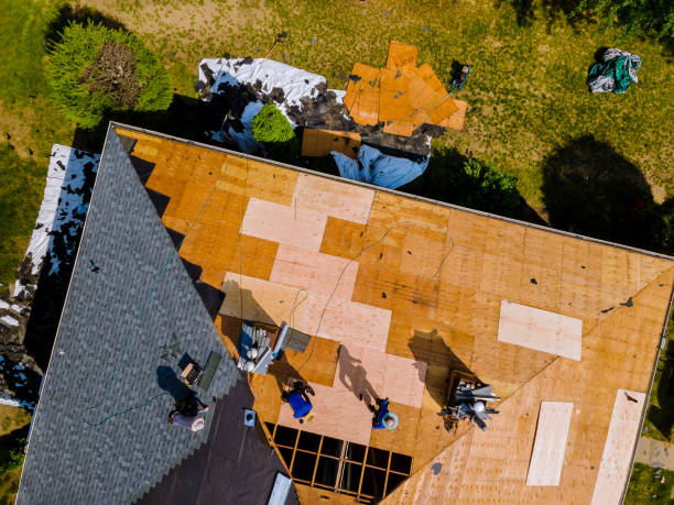 Best Local Roofing Companies  in Ina, IL