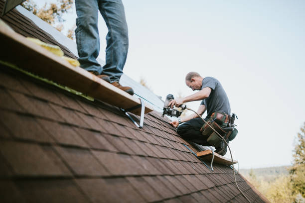 Best Metal Roofing Contractor  in Ina, IL