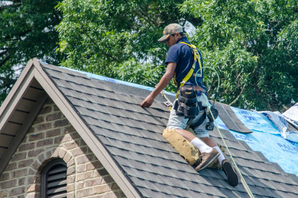 Best Roof Waterproofing Services  in Ina, IL